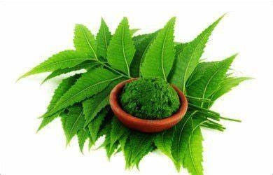 neem powder.jfif