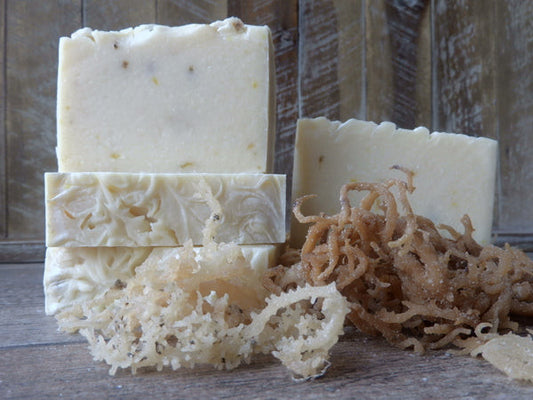 sea moss soap.jfif