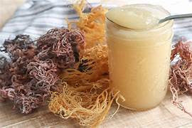 sea moss pic.jpg